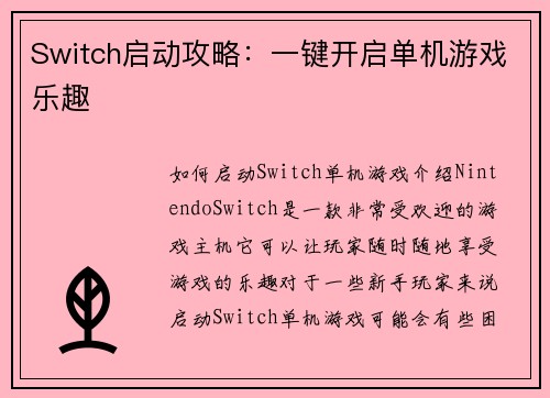 Switch启动攻略：一键开启单机游戏乐趣